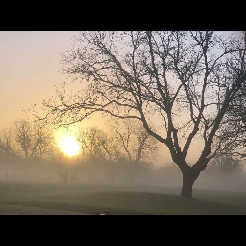 Meet your Posher, Lissete